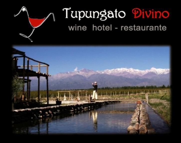 Tupungato Divino Villa Eksteriør billede