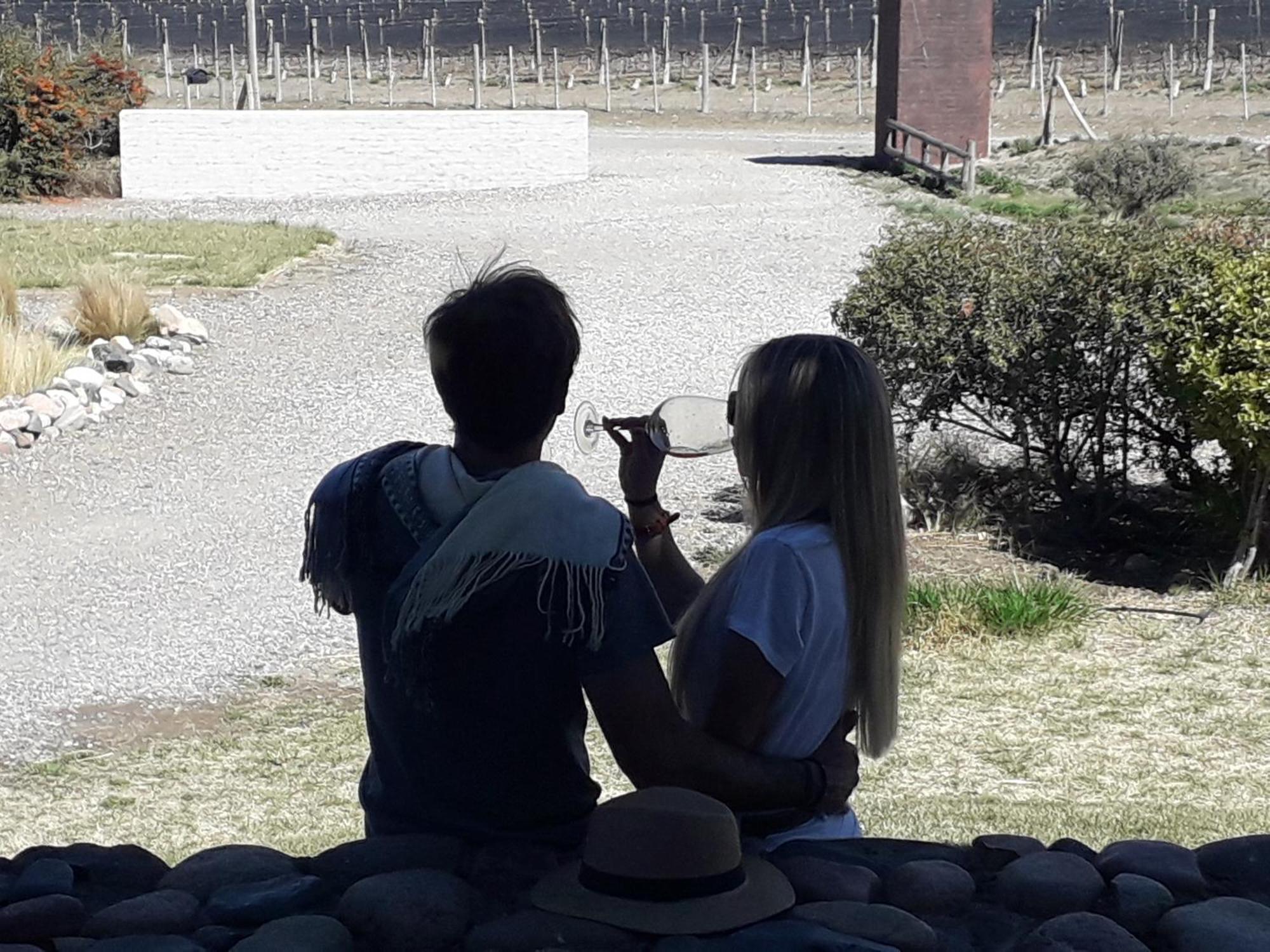 Tupungato Divino Villa Eksteriør billede