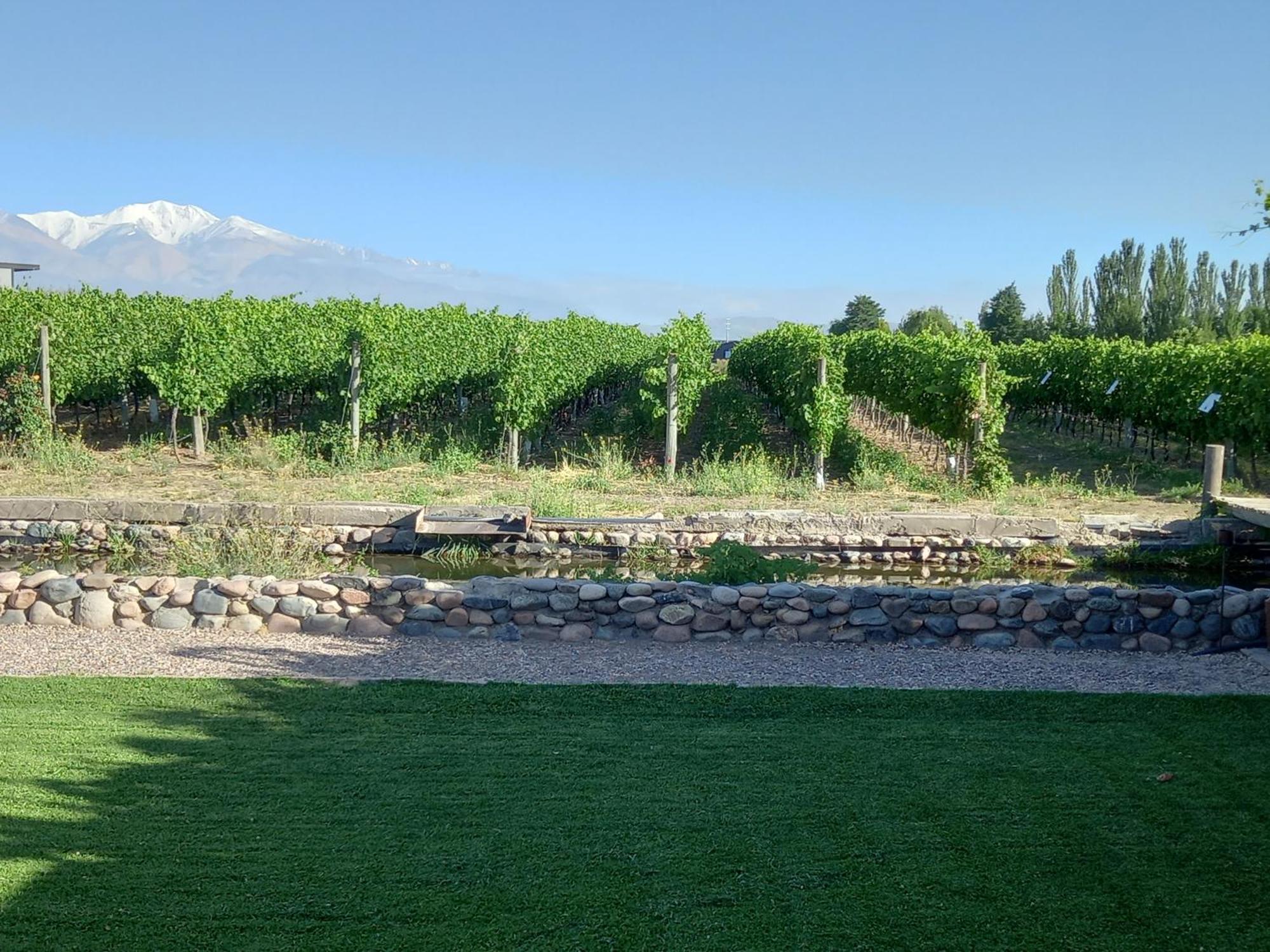 Tupungato Divino Villa Eksteriør billede
