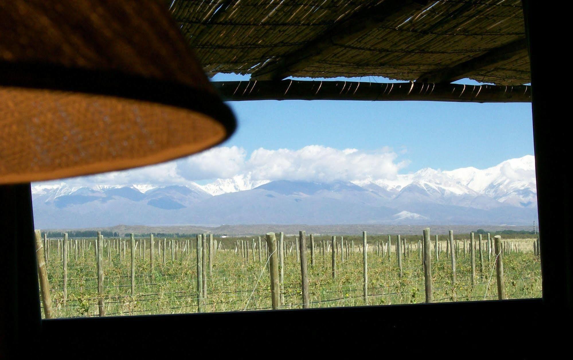Tupungato Divino Villa Eksteriør billede